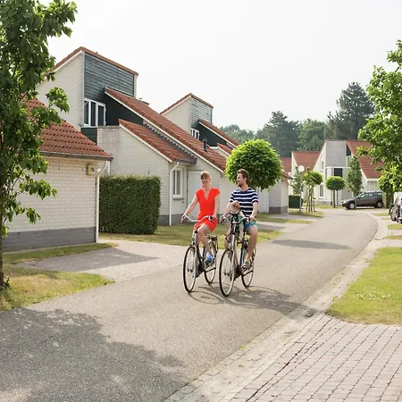 Luxurious With Washer And Dishwasher, In A Area